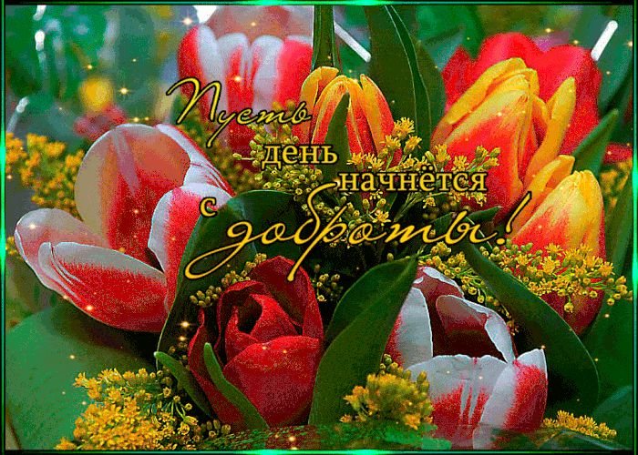 Открытка «Пожелание»: Красивая открытка: Пусть день начнется с доброты!. Тэги: утро, красивая, позитив, радость…