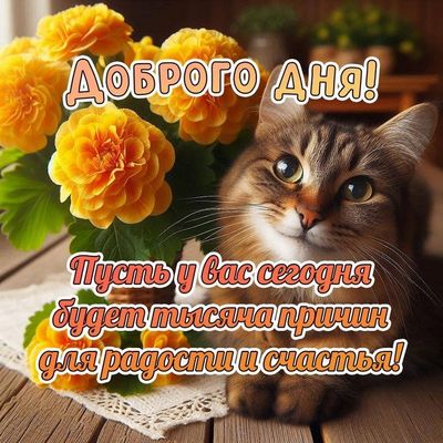Открытка «Животное»: Доброго дня и счастья! Милая кошка и цветы.. Тэги: пожелание, улыбка, друг, подруга, красивая…