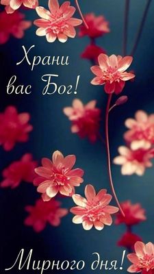 Открытка «Пожелание»: Мирного дня и Божьего благословения. Тэги: красивая, позитив, радость, цветок, настроение…