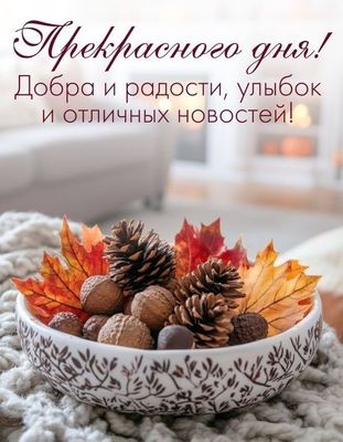 Открытка «Пожелание»: Прекрасного дня! Добра, радости и улыбок. Тэги: улыбка, красивая, радость, уют, осень, настроен…
