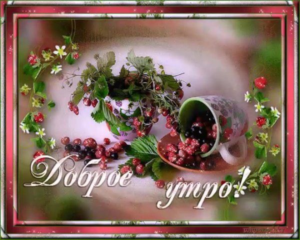 Открытка «Пожелание»: Доброе утро: нежная открытка с ягодами и цветами. Тэги: утро, красивая, позитив, хорошее настро…