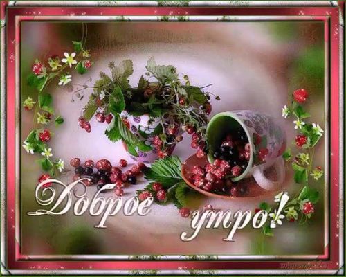 Открытка «Пожелание»: Доброе утро: нежная открытка с ягодами и цветами. Тэги: утро, красивая, позитив, хорошее настро…