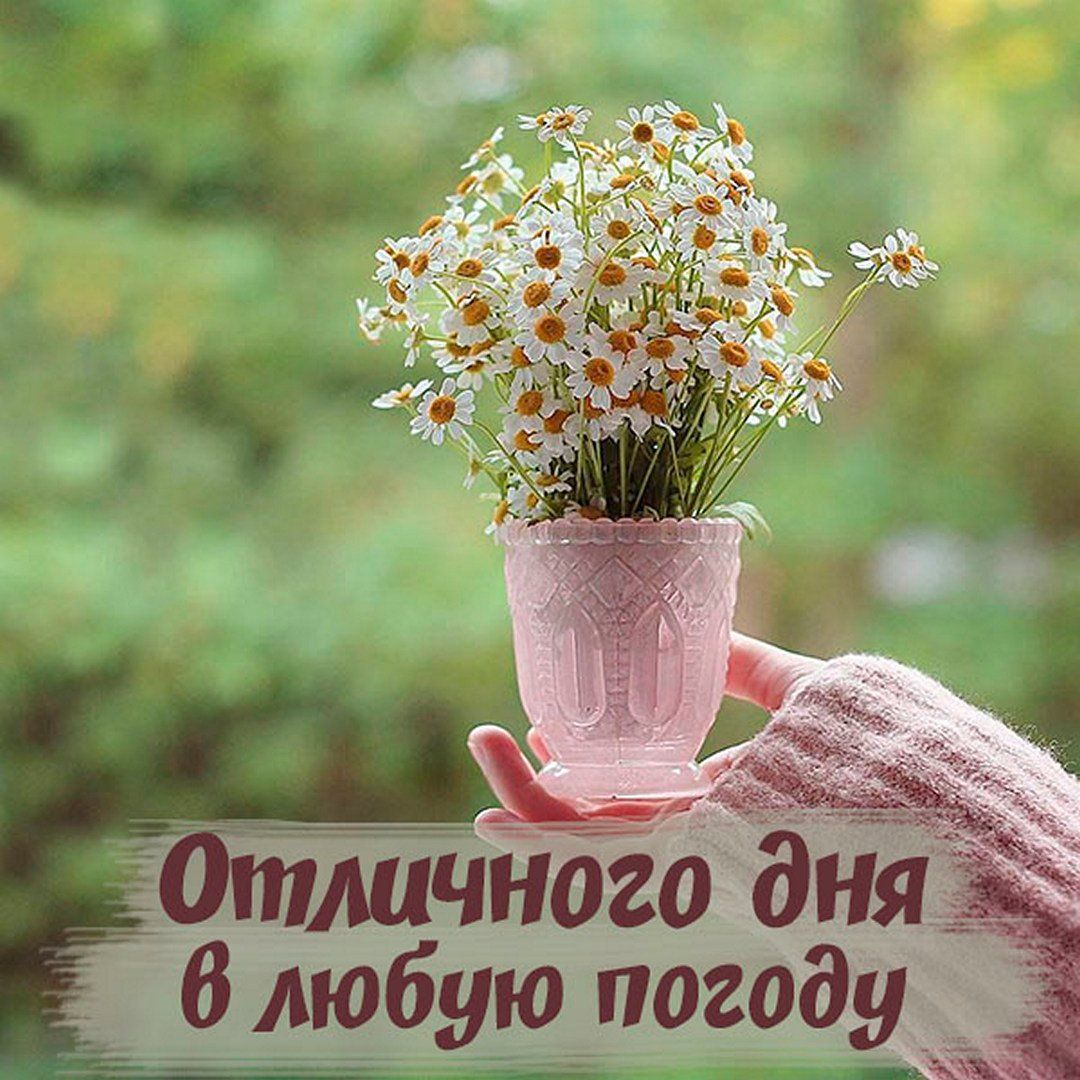 Открытка «Пожелание»: Отличного дня в любую погоду! Нежное пожелание с цветами. Тэги: улыбка, утро, красивая, позитив…