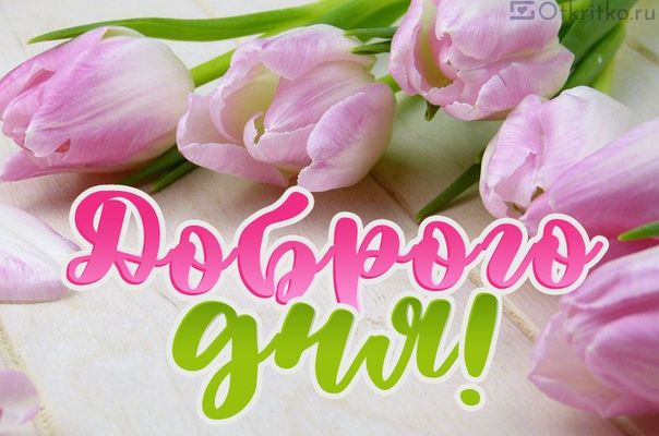 Открытка «Пожелание»: Открытка Доброго дня с нежными тюльпанами. Тэги: улыбка, друг, подруга, женщина, красивая…