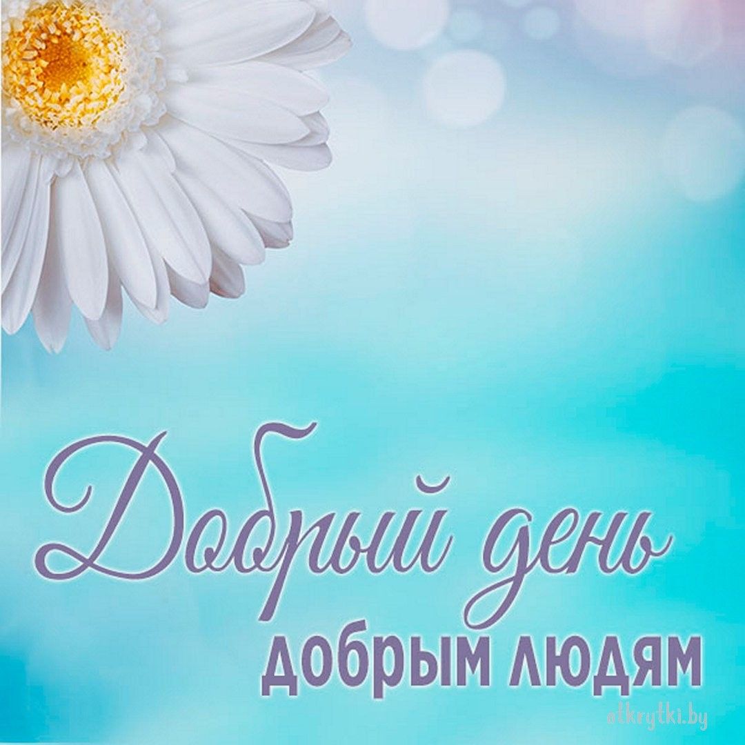Открытка «Пожелание»: Добрый день добрым людям! Нежная открытка с цветком. Тэги: друг, подруга, красивая, позитив…