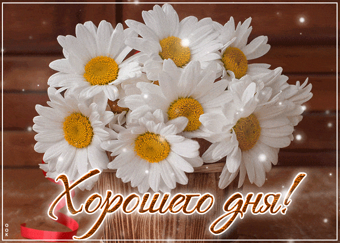 Открытка «Хорошего дня»: Хорошего дня! Красивые ромашки для настроения. Тэги: пожелание, улыбка, друг, подруга…