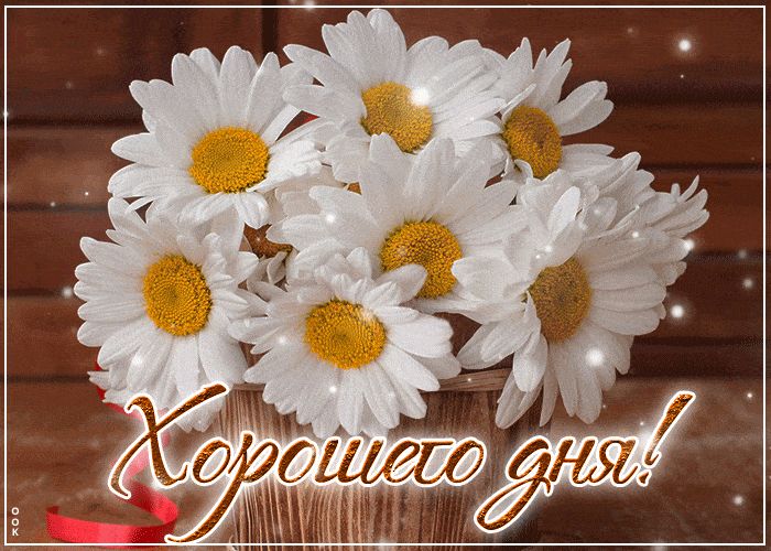 Открытка «Хорошего дня»: Хорошего дня! Красивые ромашки для настроения. Тэги: пожелание, улыбка, друг, подруга…