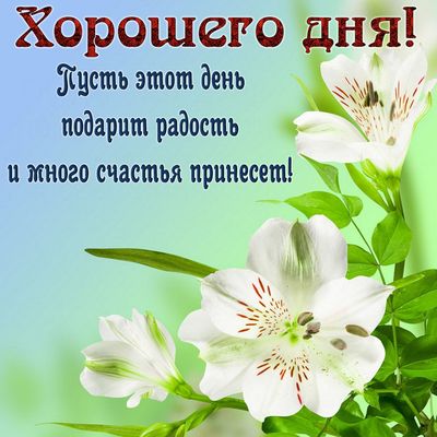 Открытка «Пожелание»: Открытка Хорошего дня с пожеланием счастья и радости. Тэги: друг, подруга, красивая, позитив…