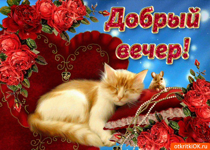Открытка «Кот»: Добрый вечер! Нежная открытка с котиком и розами. Тэги: животное, пожелание, красивая, сердце, настро…