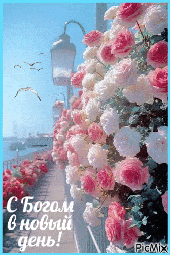 Открытка «Пожелание»: С Богом в новый день! Открытка с прекрасными розами. Тэги: утро, позитив, цветок, фонарь…