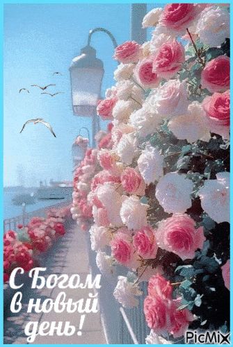 Открытка «Пожелание»: С Богом в новый день! Открытка с прекрасными розами. Тэги: утро, позитив, цветок, фонарь…