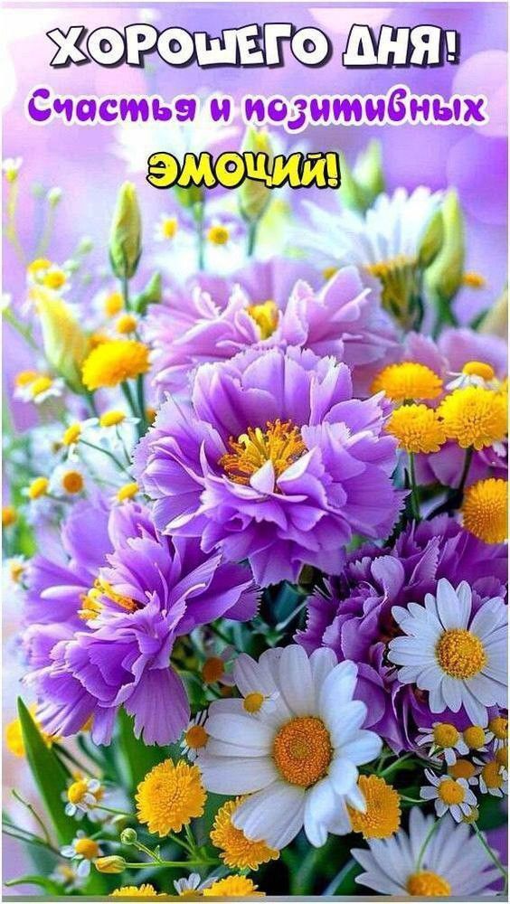Открытка «Хорошего дня»: Хорошего дня! Позитив и счастье с цветами. Тэги: пожелание, утро, красивая, позитив, хорошее…