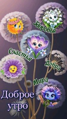 Открытка «Пожелание»: Доброе утро: Счастья, Здоровья, Добра и Мира!. Тэги: улыбка, утро, красивая, позитив, цветок…