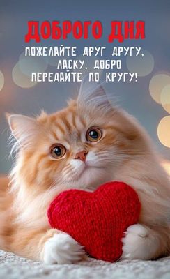 Открытка «Кот»: Доброго дня! Милый котик с сердечком и добрым пожеланием. Тэги: животное, пожелание, улыбка, друг…