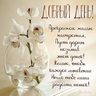 Открытка «Добрый день»: Добрый день: прекрасное настроение и радости поток!. Тэги: Добрый день и добрые пожелания…