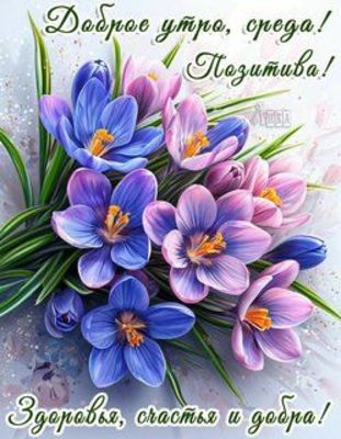 Открытка «Пожелание»: Доброе утро, среда! Позитива и весенних цветов!. Тэги: утро, красивая, позитив, цветок, здоровье…