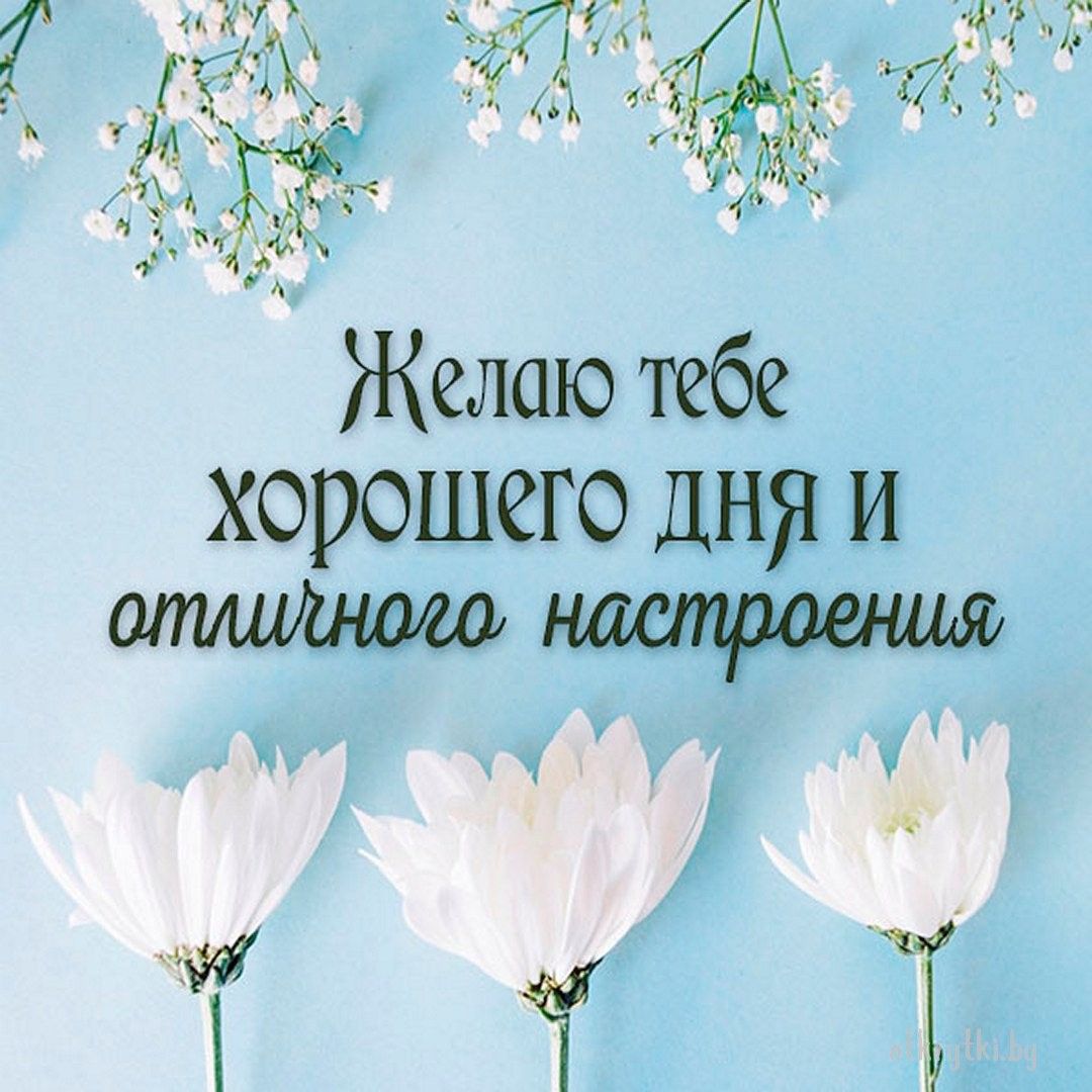 Открытка «Пожелание»: Хорошего дня и отличного настроения: нежная открытка. Тэги: отличное настроение, улыбка, друг…