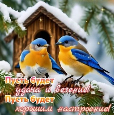 Открытка «Животное»: Зимняя открытка: удача и хорошее настроение. Тэги: пожелание, красивая, позитив, хорошее настрое…