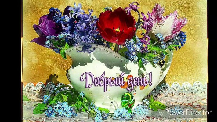 Открытка «Пожелание»: Добрый день! Красивый букет для хорошего дня. Тэги: красивая, позитив, хорошее настроение…