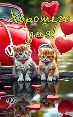 Открытка «Хорошего дня»: Хорошего дня! Милые котята и любовь. Тэги: Добрый день, Добрый день и добрые пожелания…