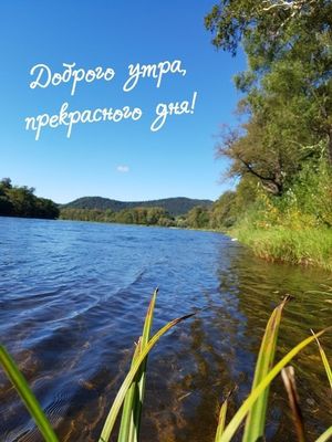 Открытка «С добрым утром»: Доброе утро, прекрасного дня! Пейзаж, природа. Тэги: С добрым, летним утром, С добрым утро…