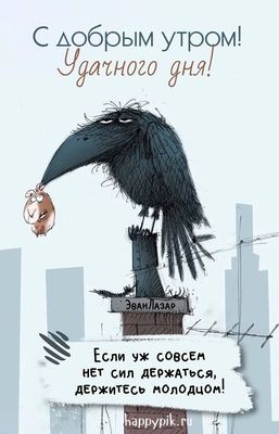 Открытка «Животное»: Доброе утро! Удачного дня и позитива!. Тэги: пожелание, юмор, утро, друг, позитив, настроение…