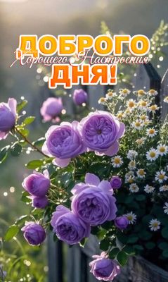 Открытка «Пожелание»: Доброго дня и хорошего настроения с цветами. Тэги: улыбка, утро, красивая, позитив, радость…