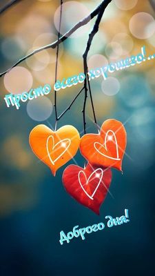 Открытка «Пожелание»: Доброго дня! Открытка с пожеланием от сердца.. Тэги: друг, подруга, красивая, позитив, хорошее…