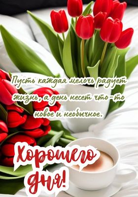 Открытка «Пожелание»: Хорошего дня! Открытка с тюльпанами и теплым пожеланием. Тэги: друг, женщина, красивая, кофе…