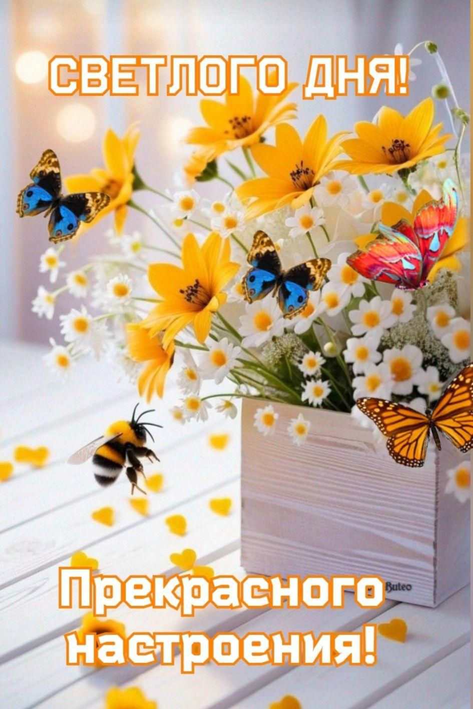 Открытка «Пожелание»: Светлого дня и прекрасного настроения!. Тэги: позитив, хорошее настроение, радость, цветок…