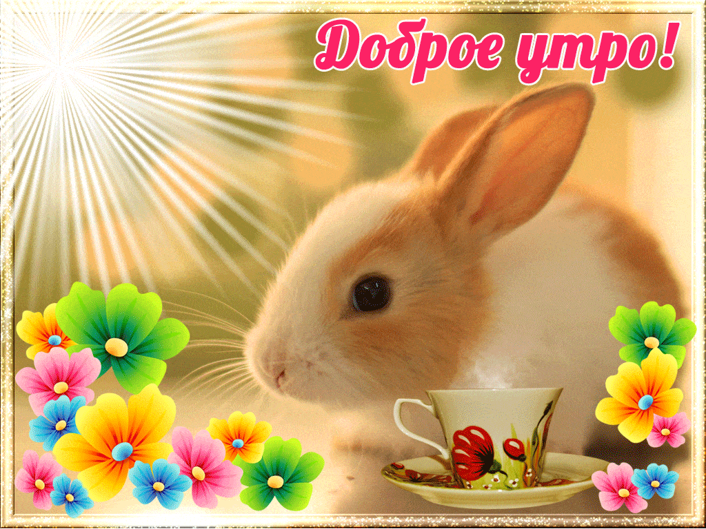 Открытка «Животное»: Доброе утро: милый зайчик, солнце и цветы!. Тэги: пожелание, улыбка, утро, красивая, позитив…