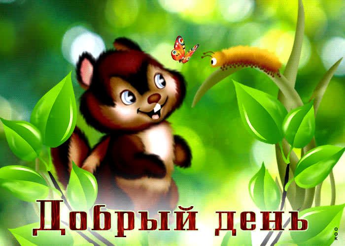 Открытка «Животное»: Добрый день! Красивая открытка для позитивного настроения. Тэги: прикольная, улыбка, красивая…