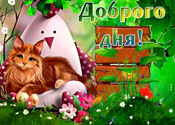 Открытка «Кот»: Доброго Дня! Открытка с милым котом. Тэги: животное, пожелание, красивая, позитив, радость, добрый де…