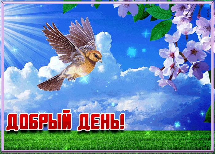 Открытка «Пожелание»: Добрый день! Красивая весенняя открытка с птицей. Тэги: красивая, позитив, радость, добрый день…