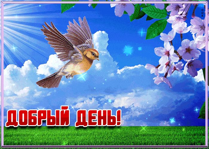 Открытка «Пожелание»: Добрый день! Красивая весенняя открытка с птицей. Тэги: красивая, позитив, радость, добрый день…