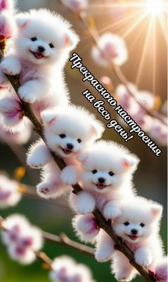 Открытка «Животное»: Открытка: Прекрасного настроения! Милые щенки. Тэги: пожелание, улыбка, позитив, радость, цветок…