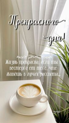 Открытка «С добрым утром»: Прекрасного дня! Кофе, мудрость и отличное настроение. Тэги: Добрый день, С добрым утром и…