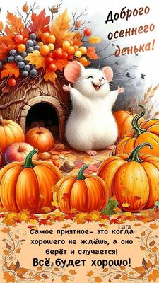 Открытка «Добрый день»: Осенний день: Мышонок, тыквы и прекрасное настроение. Тэги: Добрый день и добрые пожелания…