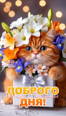 Открытка «Хорошего дня»: Доброго дня и хорошего настроения с милым котом. Тэги: Добрый день, Добрый день и добрые пож…