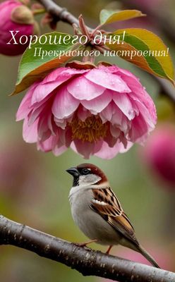 Открытка «Хорошего дня»: Хорошего дня! Прекрасное настроение с цветком и птицей. Тэги: животное, пожелание, красивая…