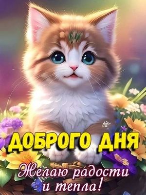 Открытка «Кот»: Доброго дня! Милый котенок, радость, тепло. Тэги: животное, пожелание, улыбка, красивая, хорошее наст…