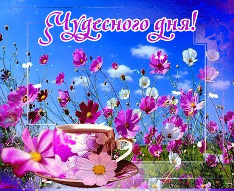 Открытка «Пожелание»: Пожелание чудесного дня: яркие цветы и позитив. Тэги: улыбка, позитив, радость, цветок, чай…