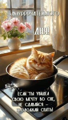 Открытка «Добрый день»: Замурррчательного дня и хорошее настроение с котом. Тэги: Добрый день и добрые пожелания…