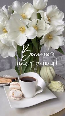 Открытка «Пожелание»: Весеннего настроения! Нежная открытка с тюльпанами. Тэги: утро, красивая, кофе, позитив, радость…
