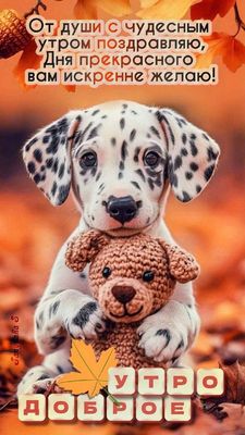 Открытка «С добрым утром»: Чудесное утро и прекрасный день от милого щенка. Тэги: С добрым осенним утром, С добрым ут…