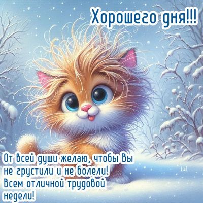 Открытка «Кот»: Хорошего дня! Милый кот, снег, теплое пожелание. Тэги: животное, пожелание, отличное настроение…