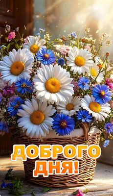 Открытка «Пожелание»: Красивая открытка Доброго дня с букетом цветов. Тэги: улыбка, красивая, позитив, радость…