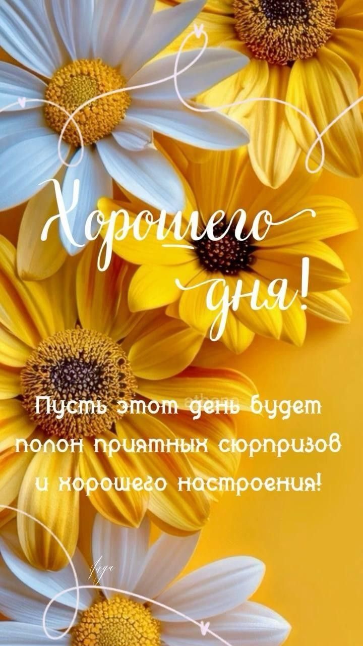 Открытка «Пожелание»: Хорошего дня! Позитив и хорошее настроение. Тэги: друг, подруга, мужчина, женщина, красивая…
