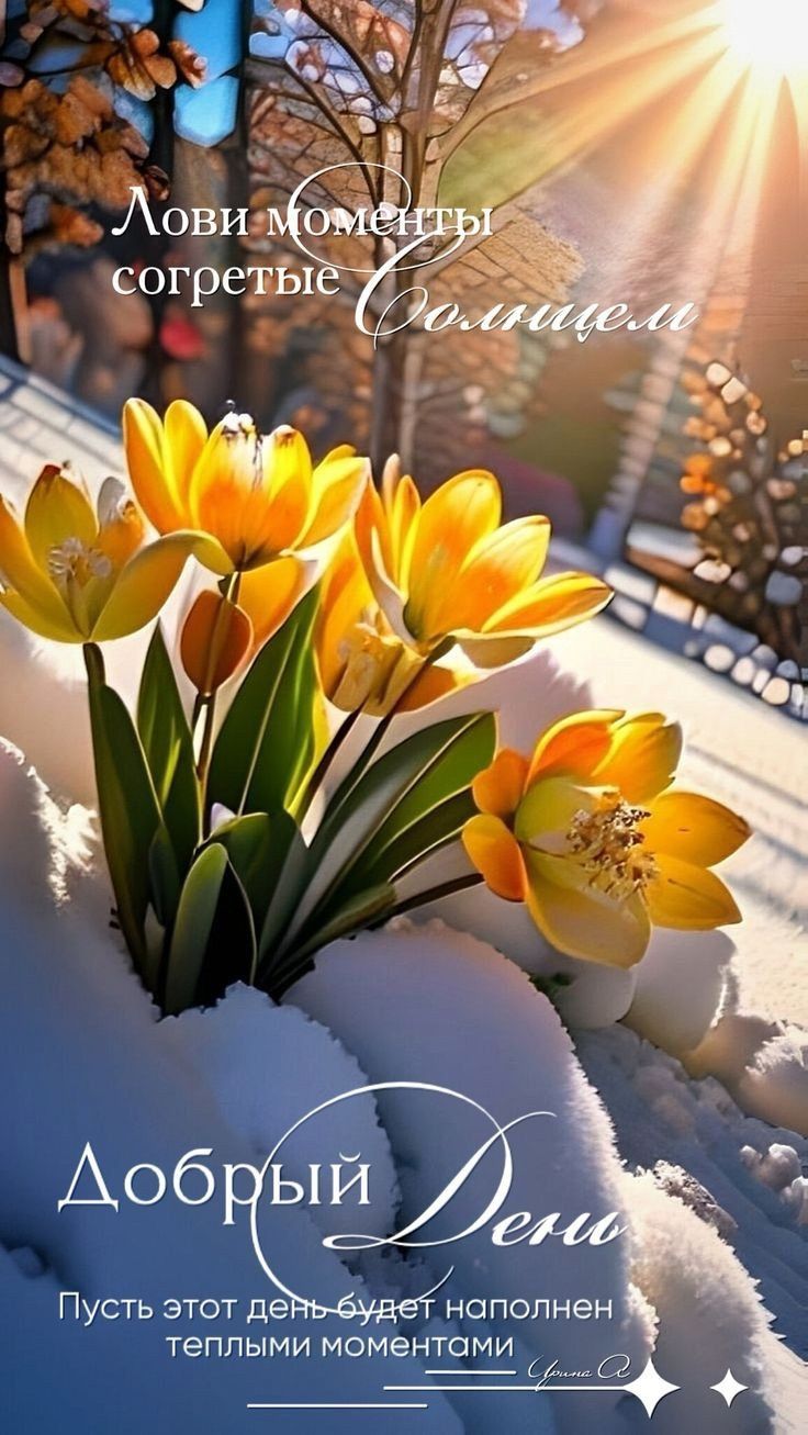 Открытка «Добрый день»: Добрый день: лови моменты, согретые солнцем. Тэги: Удачного дня, Добрый день и добрые пожелан…