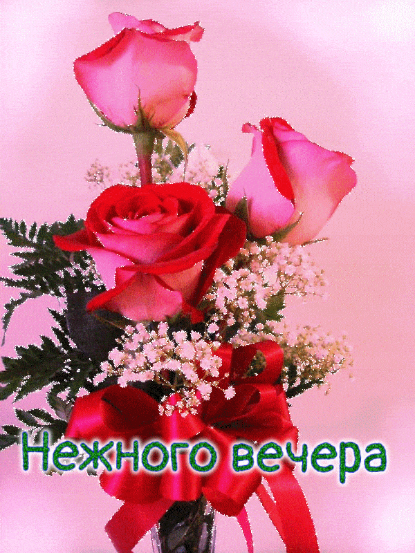 Открытка «Пожелание»: Нежного вечера: красивые розы и пожелание. Тэги: красивая, цветок, настроение, нежная, красный…